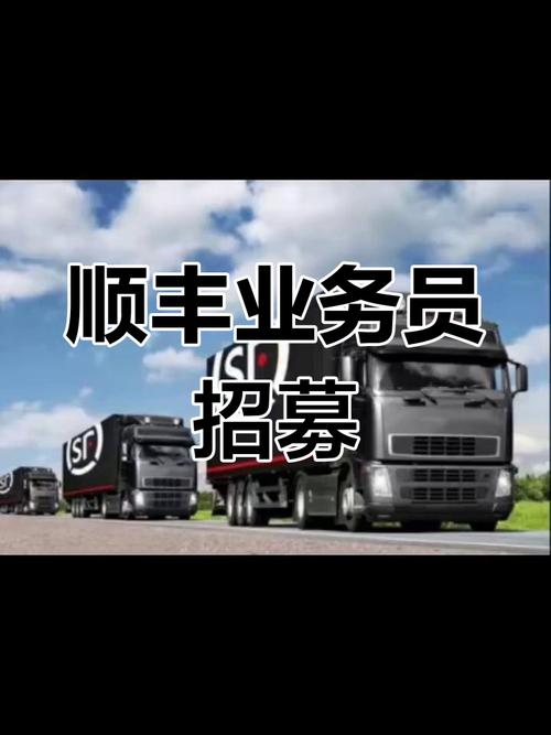 大连顺丰快递招聘什么岗位?-第3张图片-陕西物流货运 大连顺丰快递招聘什么岗位?-第3张图片-陕西物流货运