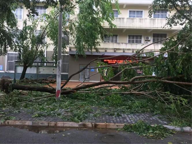 三亚市荔枝沟邮政电话-第2张图片-陕西物流货运 三亚市荔枝沟邮政电话-第2张图片-陕西物流货运