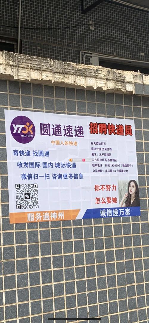 江川圆通快递电话号码是多少？-第2张图片-陕西物流货运