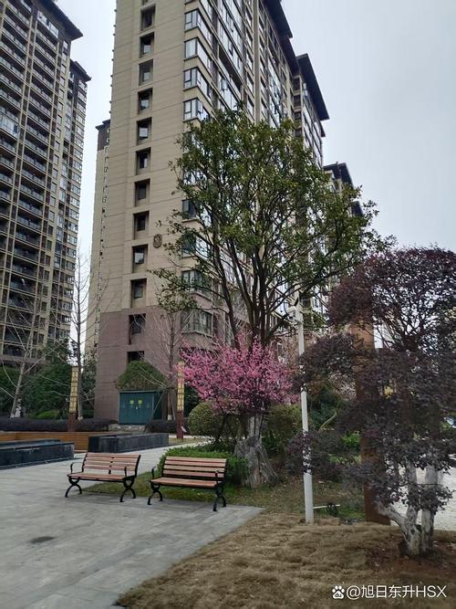 长沙白鹤小区中通怎么了？-第2张图片-陕西物流货运