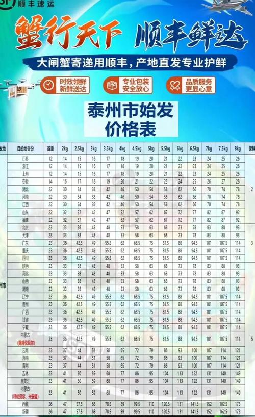 日本到中国顺丰运价多少钱？-第3张图片-陕西物流货运