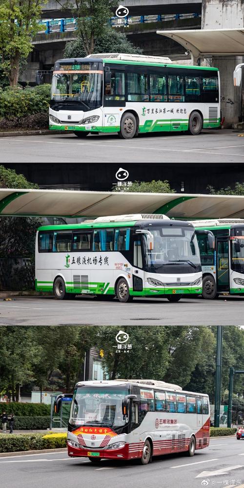 宜宾南岸中通交通现状如何?-第2张图片-陕西物流货运 宜宾南岸中通交通现状如何?-第2张图片-陕西物流货运