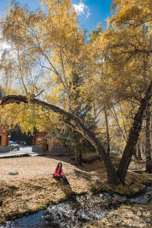 阿勒泰地区邮政编码是多少？-第1张图片-陕西物流货运