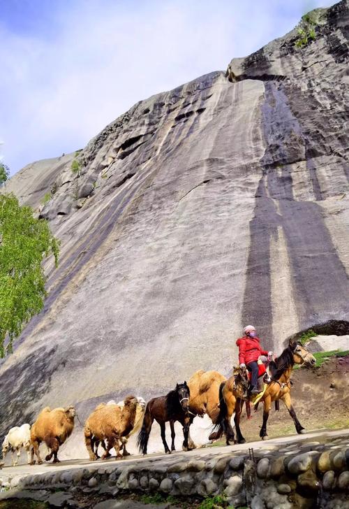 阿勒泰地区邮政编码是多少？-第2张图片-陕西物流货运