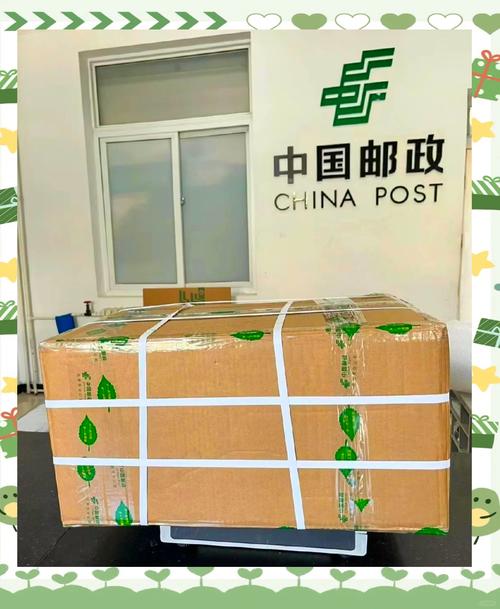 邮政快递显示正在派件-第3张图片-陕西物流货运